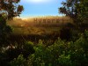 HymereJ – One Off Nam (2012)