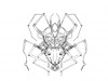 Mystery X – Spidergod sends Dreams (2012)