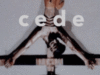 Traducer – Cede